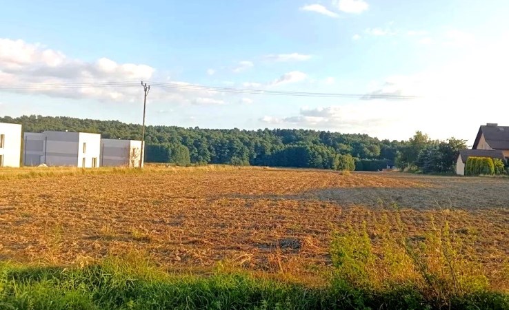 działka na sprzedaż - Żory, Rój