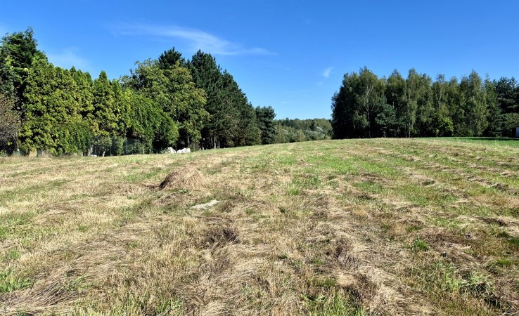 działka na sprzedaż - Świerklany, Jankowice Rybnickie