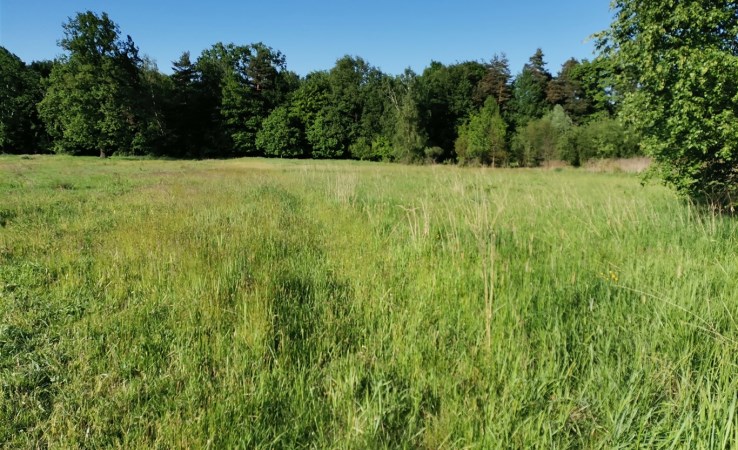 działka na sprzedaż - Orzesze 
