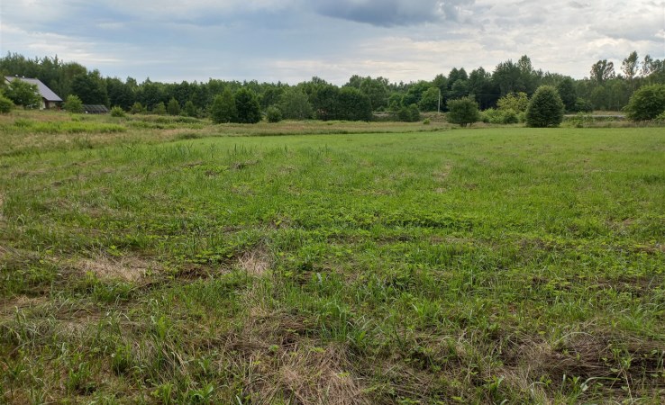 działka na sprzedaż - Rybnik, Niedobczyce