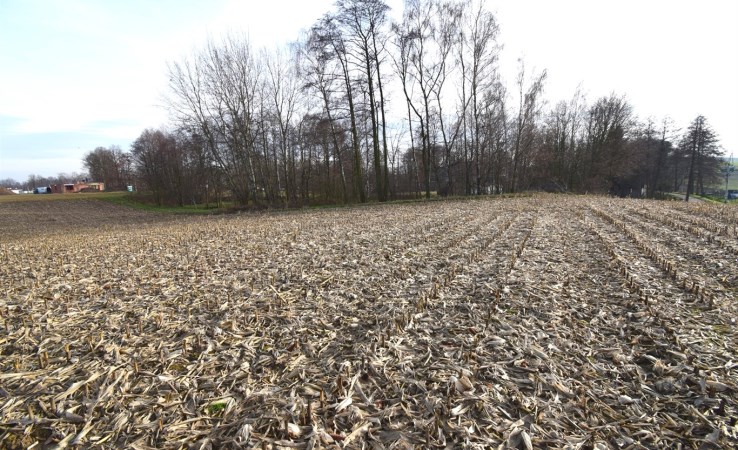 działka na sprzedaż - Pszczyna, Studzionka