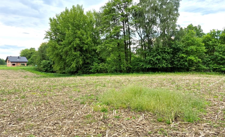 działka na sprzedaż - Pszczyna, Studzionka