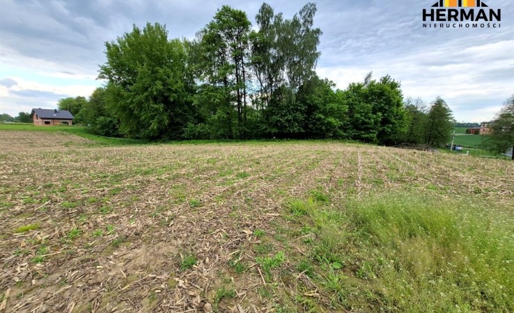 działka na sprzedaż - Pszczyna, Studzionka