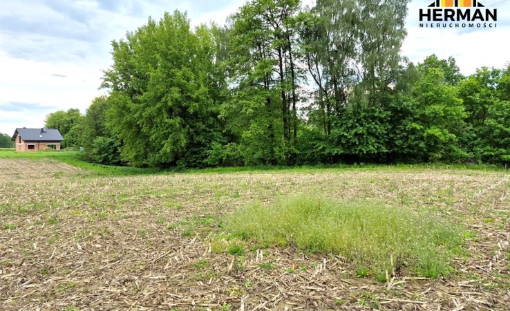 działka na sprzedaż - Pszczyna, Studzionka
